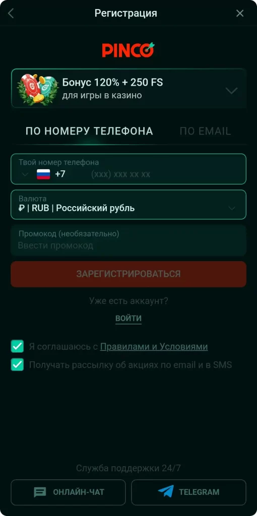 Регистрация в приложении Пинко